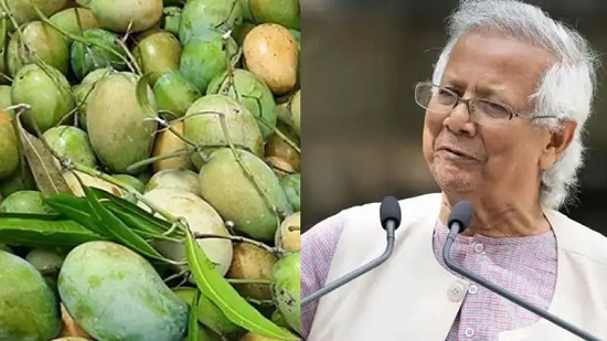 আম দিয়ে ভারতকে উচিৎ জবাব দিলো বাংলাদেশ!