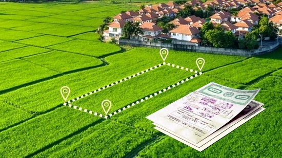 দলিল না থাকলেও জমির মালিক প্রমাণের ৫ উপায়